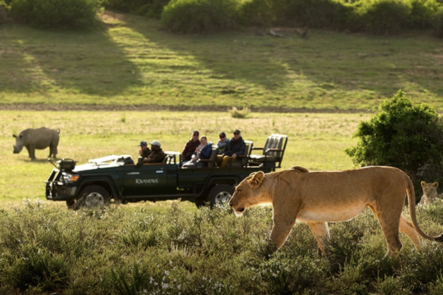 Rhino Africa: how luxury travel can leave a lasting impact on rural communities