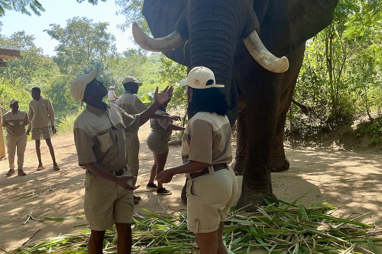 GWF-trained trackers helping to connect people with wildlife.