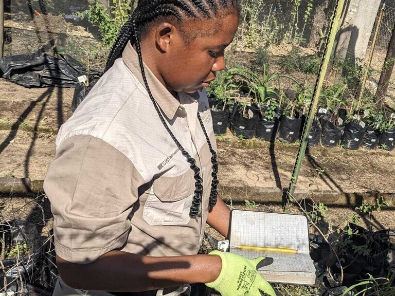 GWF participates in study on the hidden impact of elephant carcasses on the savannah