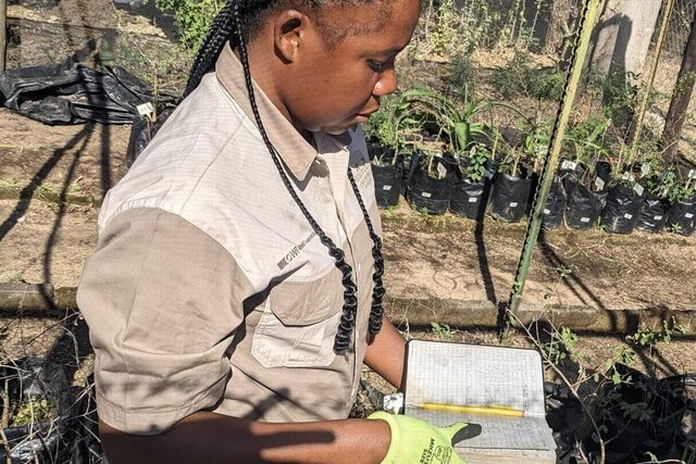 GWF participates in study on the hidden impact of elephant carcasses on the savannah