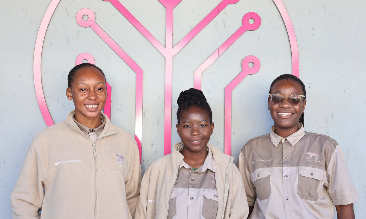Career Academies