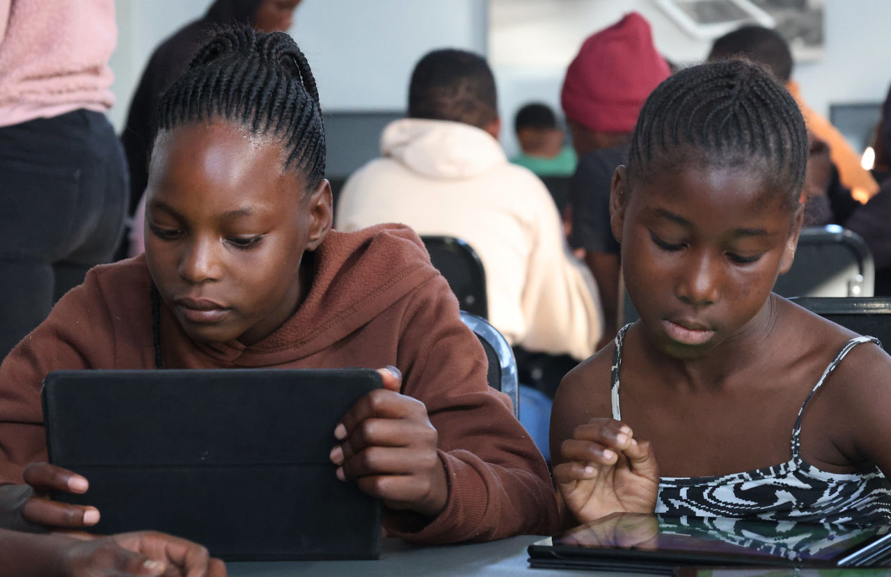 53096053698 fecf6866e5 k