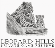 Leopard Hills Private Game Lodge