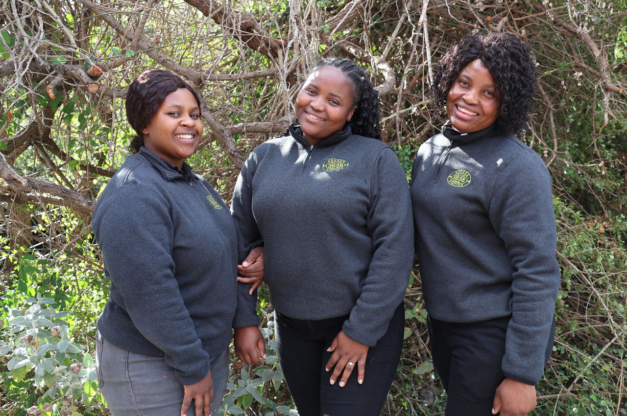 53102536499 71eb1ca16c k