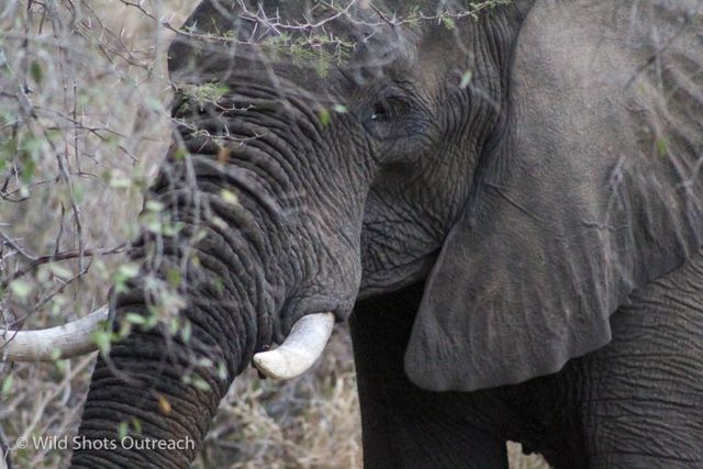 9 Amazing wildlife photos from our own students